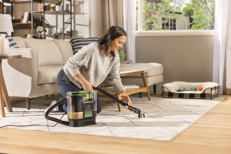 Cleaning 101: How to Clean an Area Rug | Wayfair